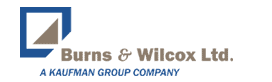 Burns & Wilcox Logo